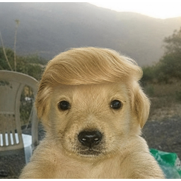 TRUMPCHUA