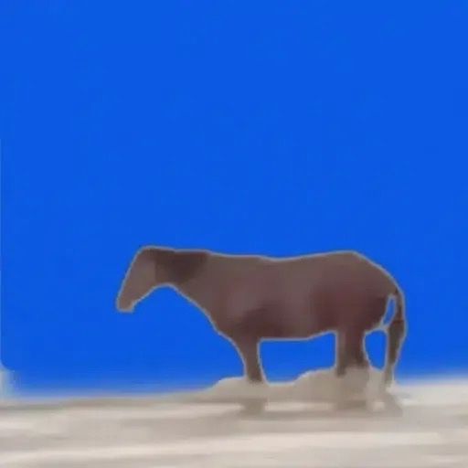 Juan