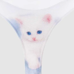 KITTY