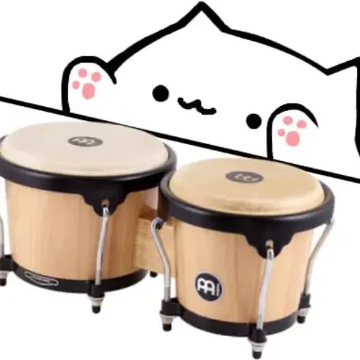 BONGOCAT