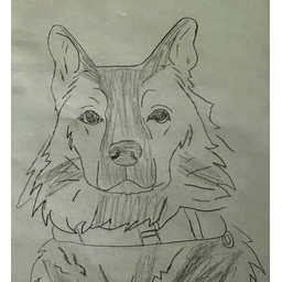 Scout
