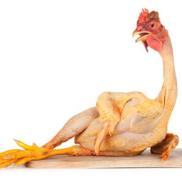 cockbuy