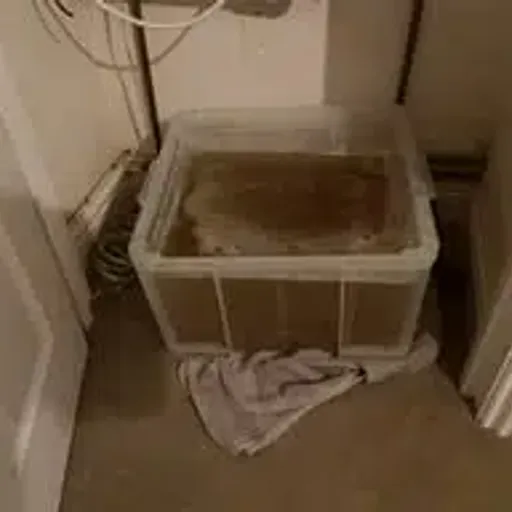 PISSBOX
