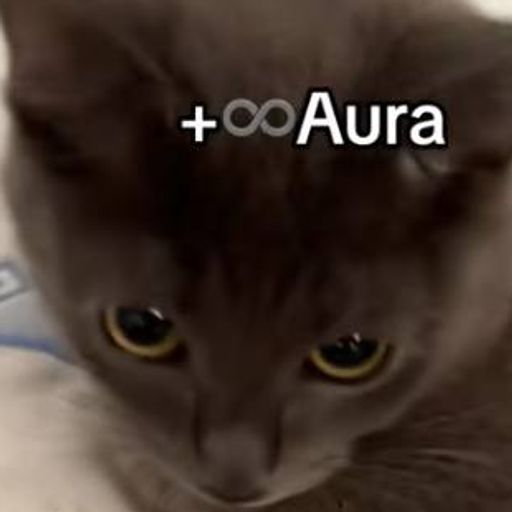 auracat