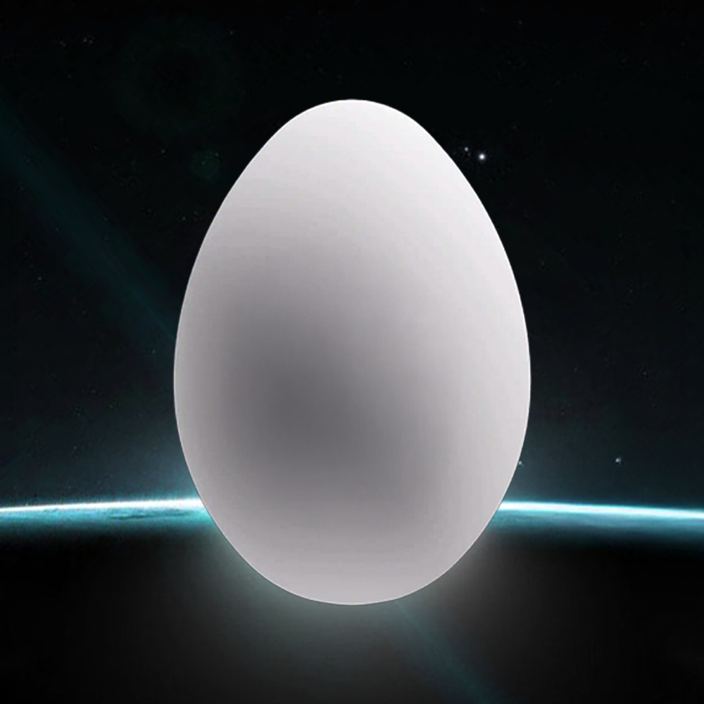 Egg