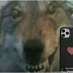 WOLFSELF