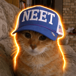 neetcat