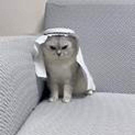 ARABICAT