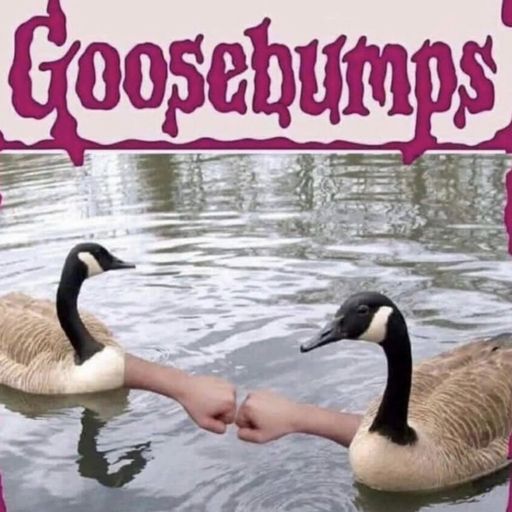 GOOSE