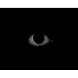 SEEK