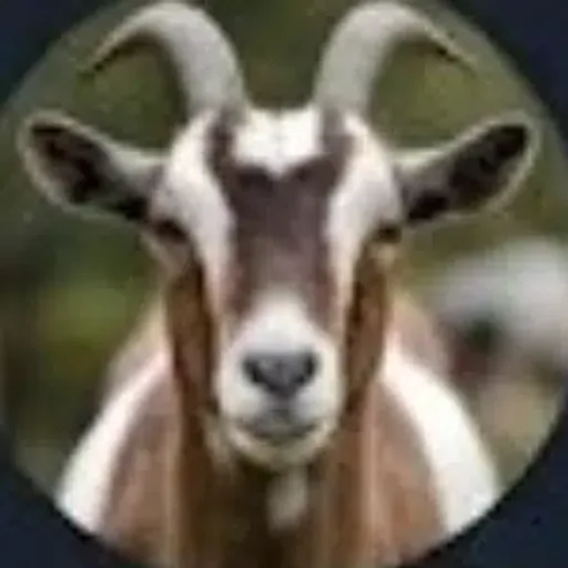 Goat 