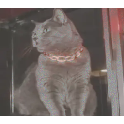 CCAT