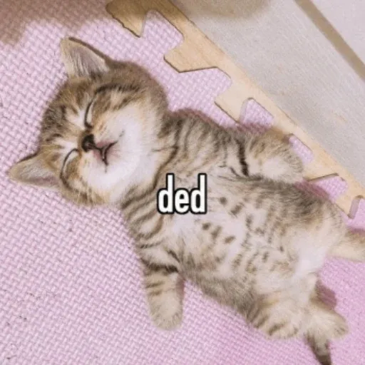 ded