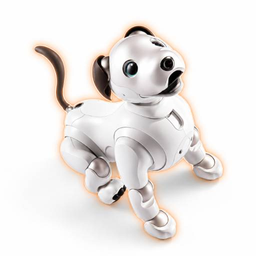 Aibo
