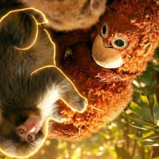 Momo