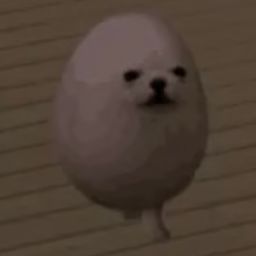 $EGGDOG