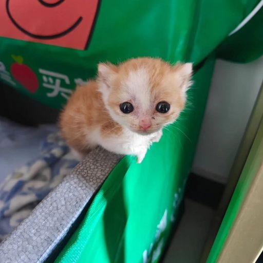 PouPou