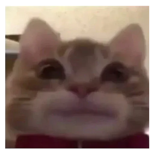 PLS