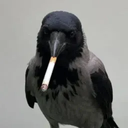 cig