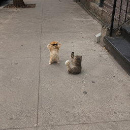 twins