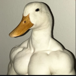 BUFFDUCK
