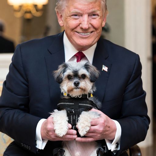 TRUMPY