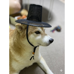 GATWIF