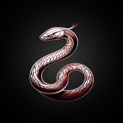 SSJJ