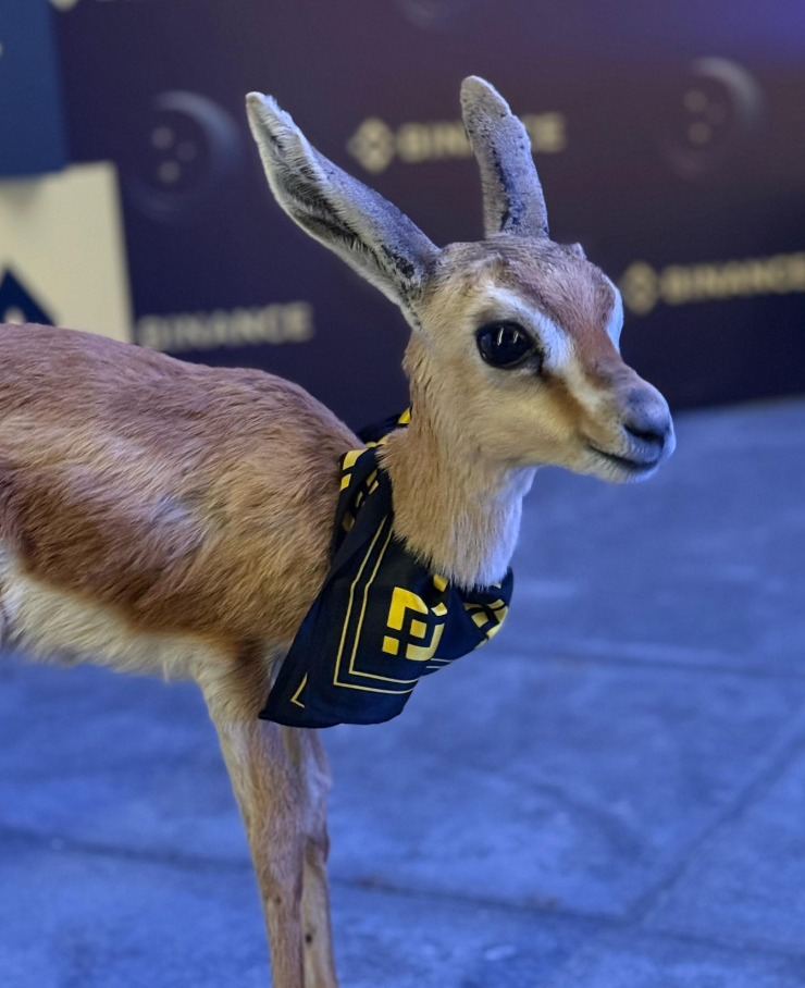 Bambi