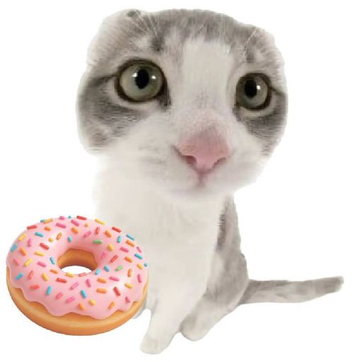 donut