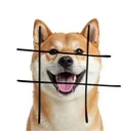 PCORGI