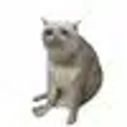 CASHCAT