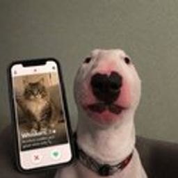 catfished