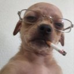 uncdog