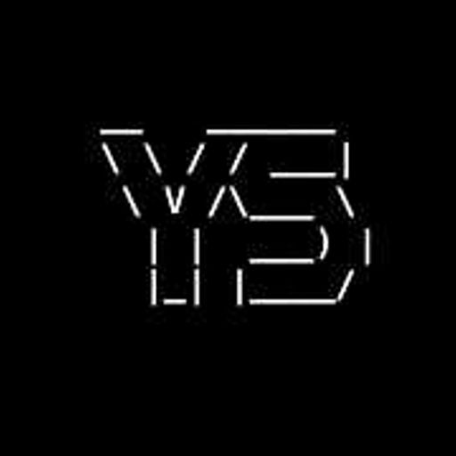 YS