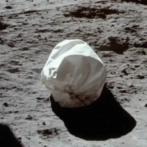 moonbag