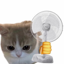 FANCAT
