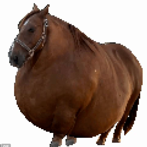 🐴🧁