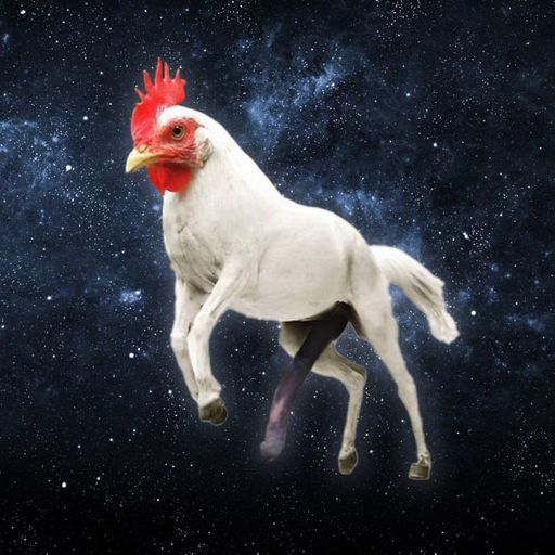 KOKA