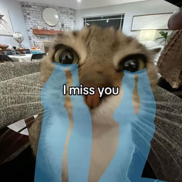 IMY
