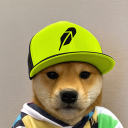 dogwifhood