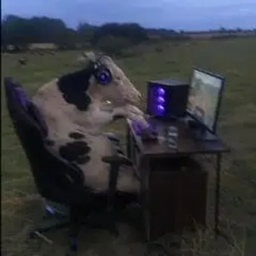 cow