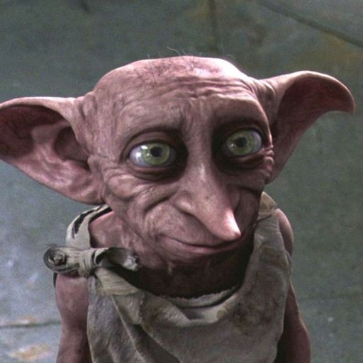 DOBBY