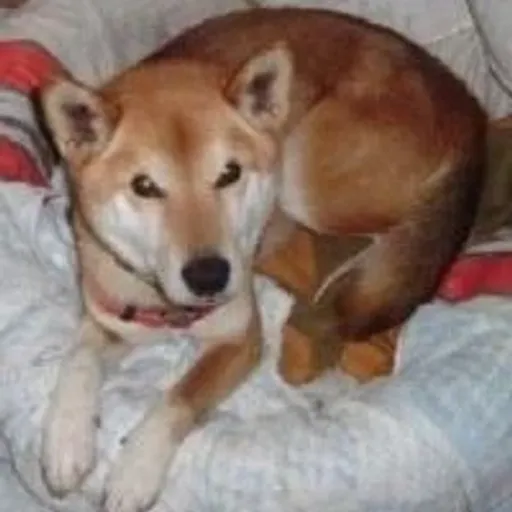 TAKERU