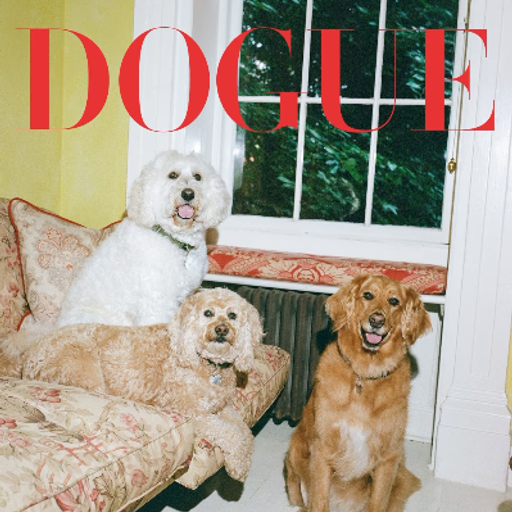 DOGUE