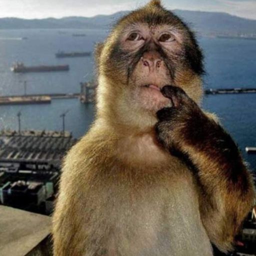 monke