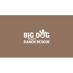 BDRR