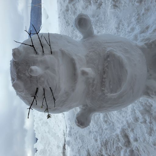 Snow