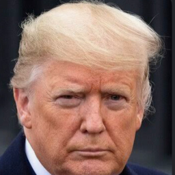 TRUMP28