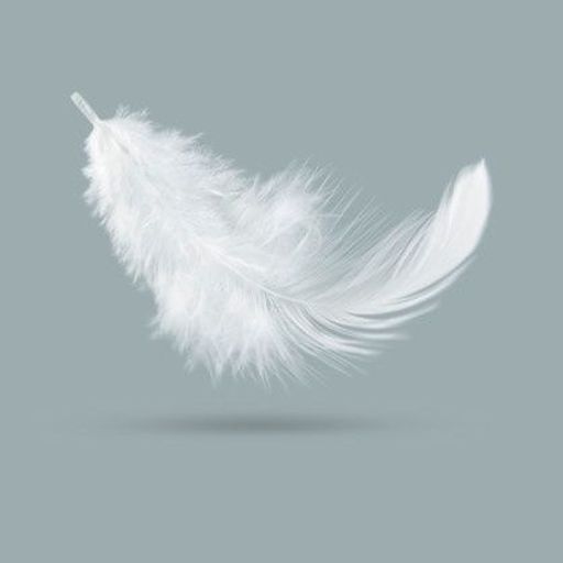 Feather